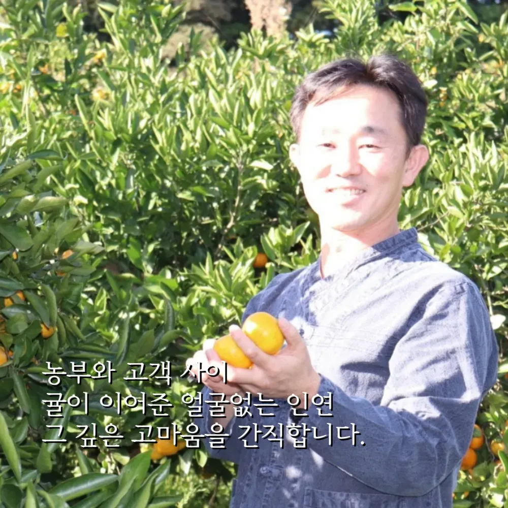 직팜 | 제주약선팜 - 유기농귤_로얄과 3kg