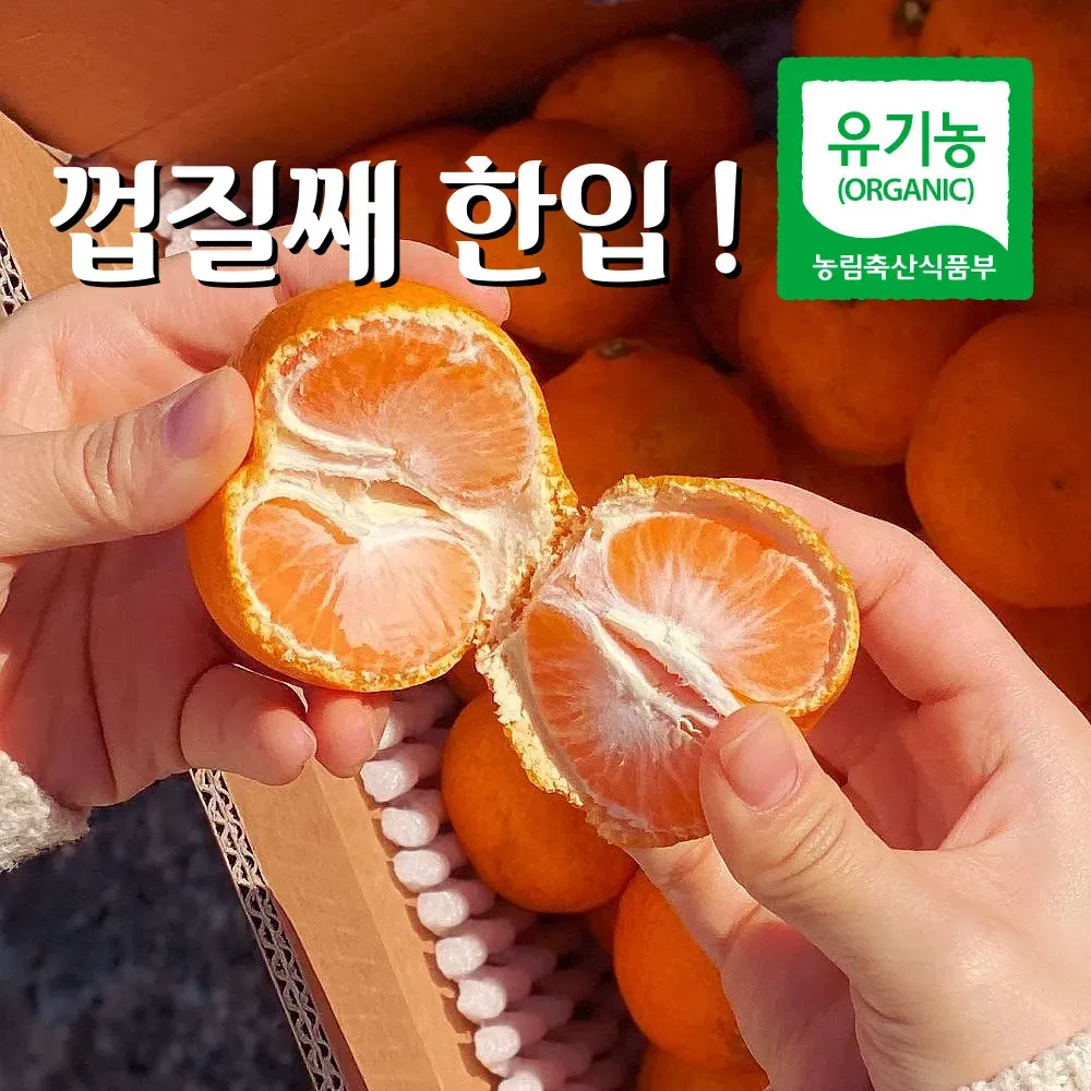 직팜 | 제주약선팜 - 유기농귤_로얄과 4.5kg