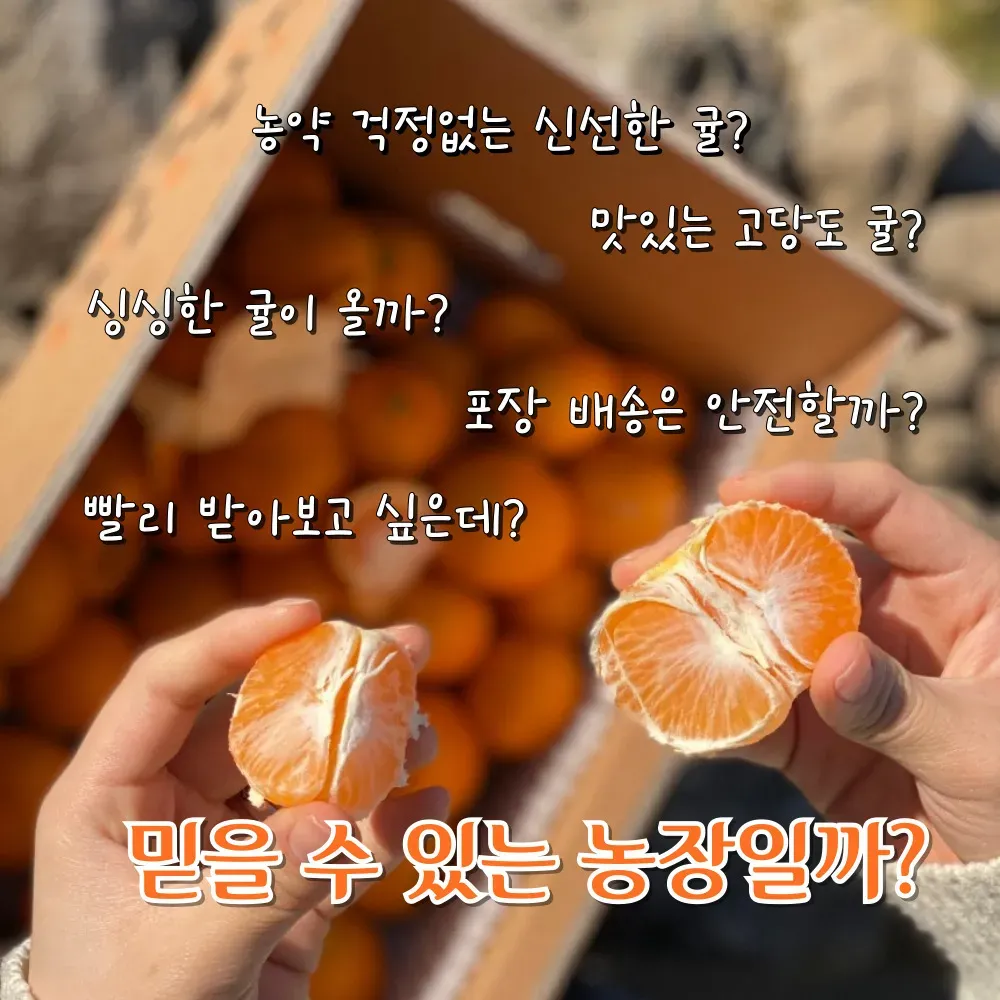직팜 | 제주약선팜 - 유기농귤_로얄과 4.5kg