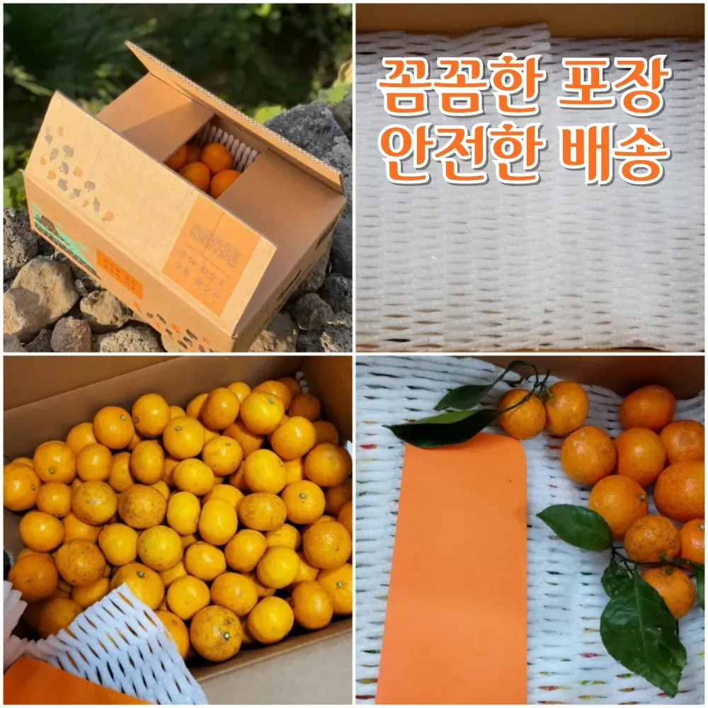 직팜 | 제주약선팜 - 유기농귤_로얄과 4.5kg