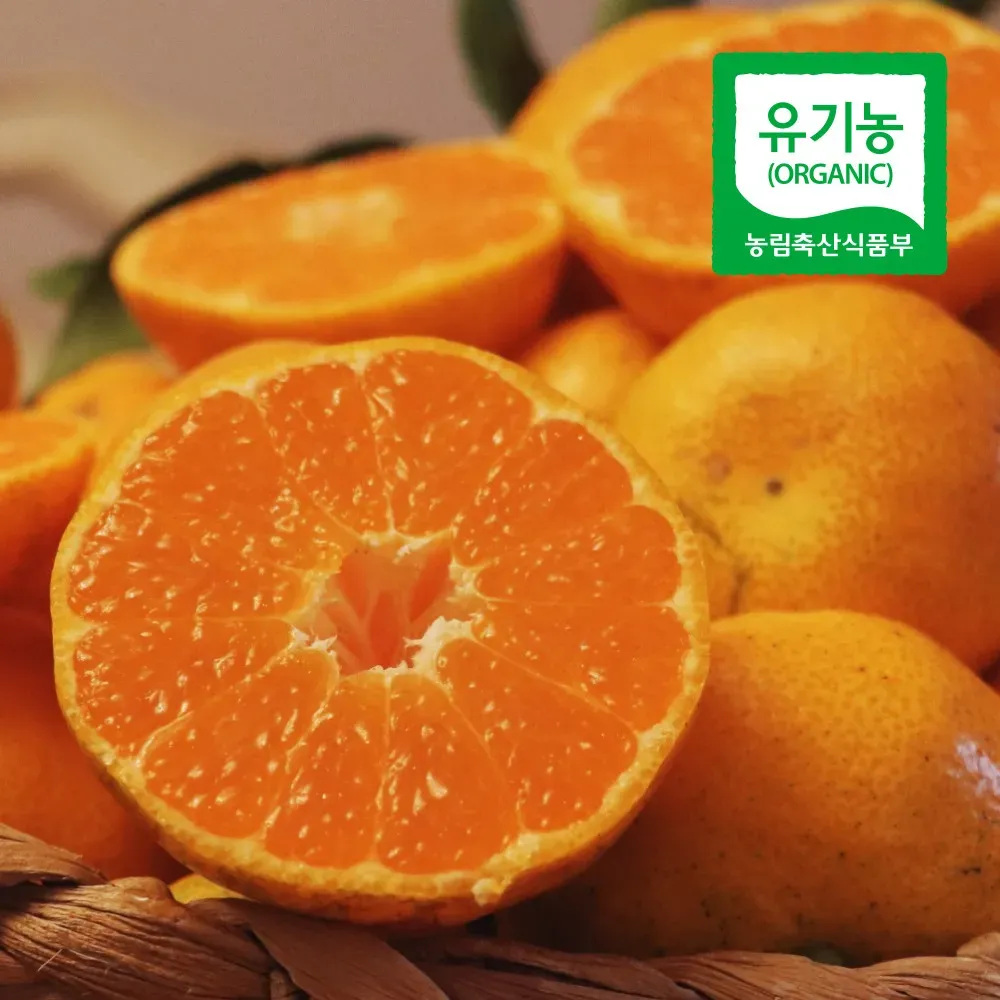 직팜 | 제주약선팜 - 유기농귤_대과 4.5kg