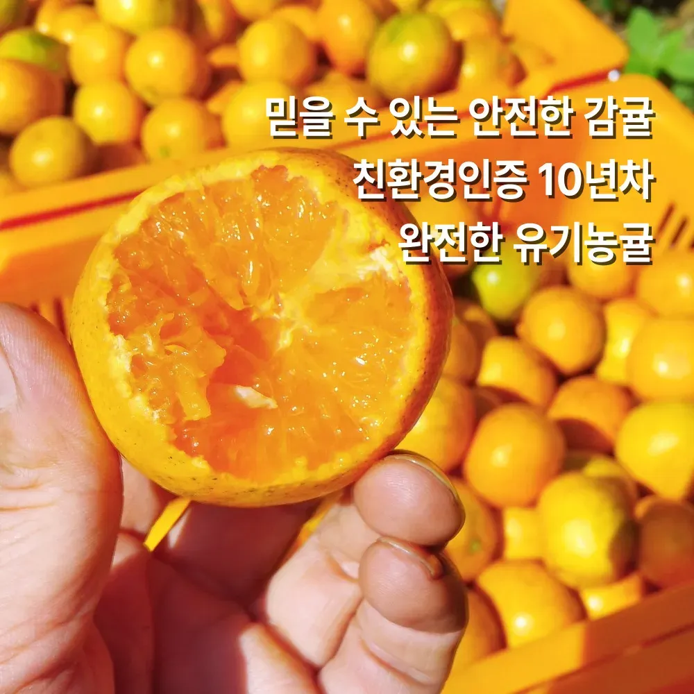 직팜 | 제주약선팜 - 테스트1