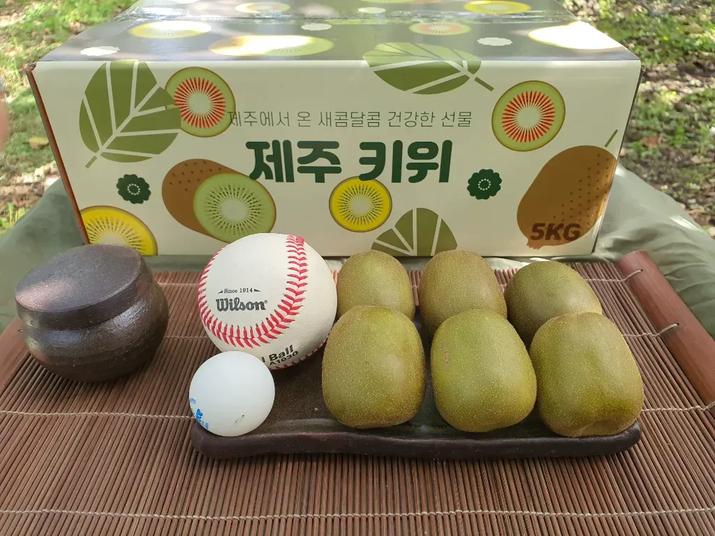 직팜 | 곱은달레드키위농장 - 레드키위5kg박스 (박스포함5.7kg)개당약80g