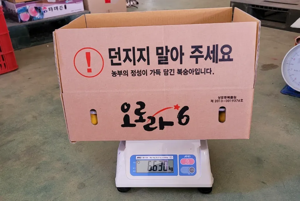 직팜 | 마메든 농원(청년농부) - 배(햇배)4kg~5kg/당도 복불복(품종 : 원황)