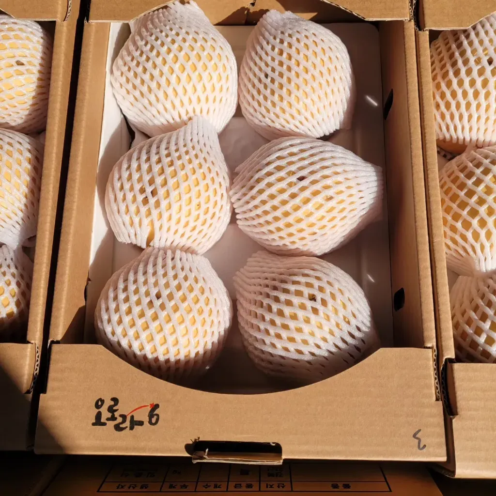 직팜 | 마메든 농원(청년농부) - 배(햇배)4kg~5kg/당도 복불복(품종 : 원황)