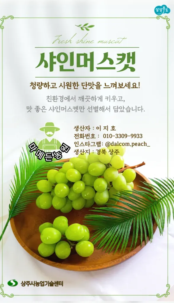 직팜 | 마메든 농원(청년농부) - 샤인머스캣(프리미엄 B급)당도 100%보장/4kg~5kg