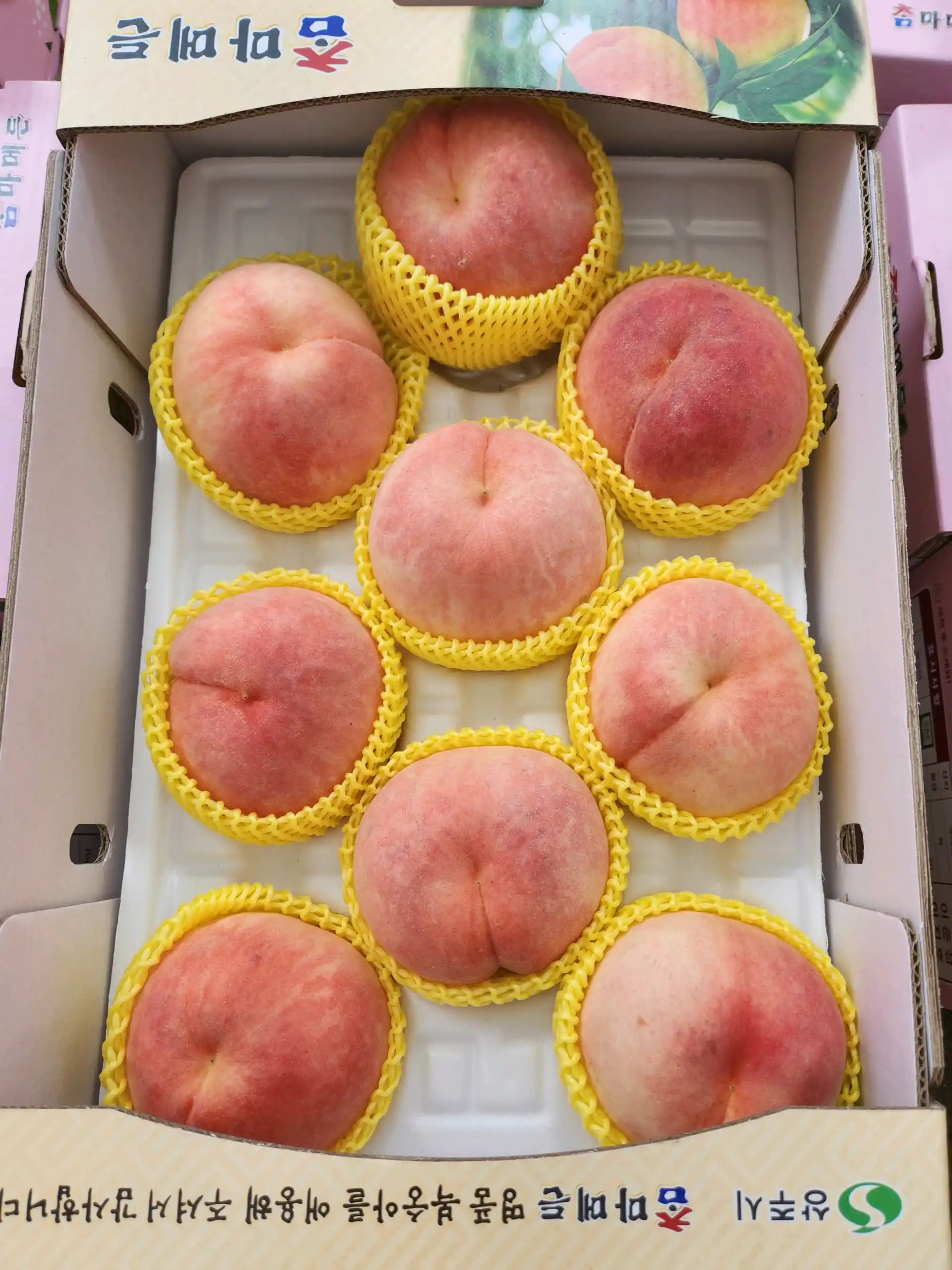 직팜 | 마메든 농원(청년농부) - [딱복🍑사전예약 할인] 프리미엄 복숭아 4kg / 특대과 6-12입 (7/10 이후 순차발송)