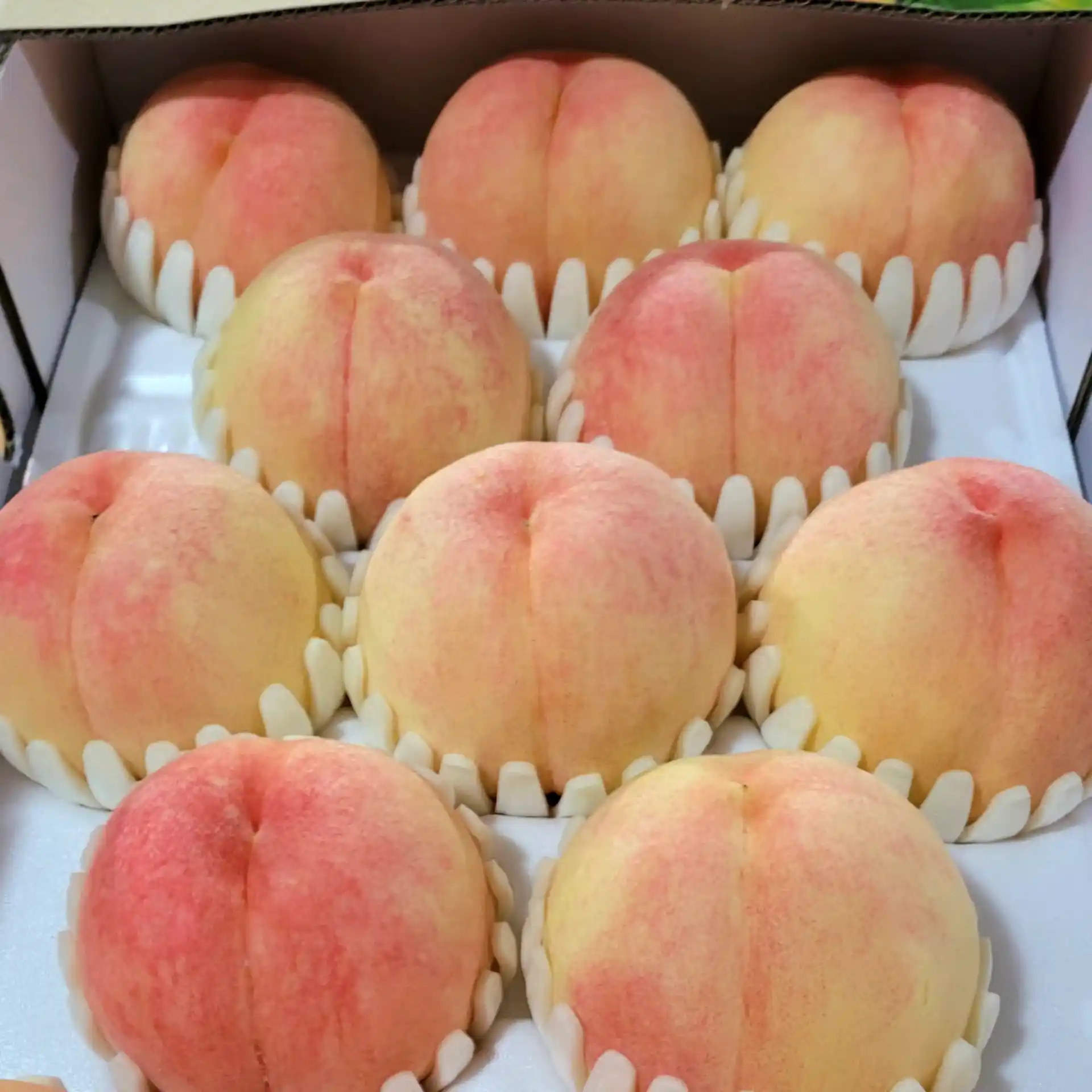 직팜 | 마메든 농원(청년농부) - [딱복🍑사전예약 할인] 프리미엄 복숭아 4kg / 특대과 6-12입 (7/10 이후 순차발송)