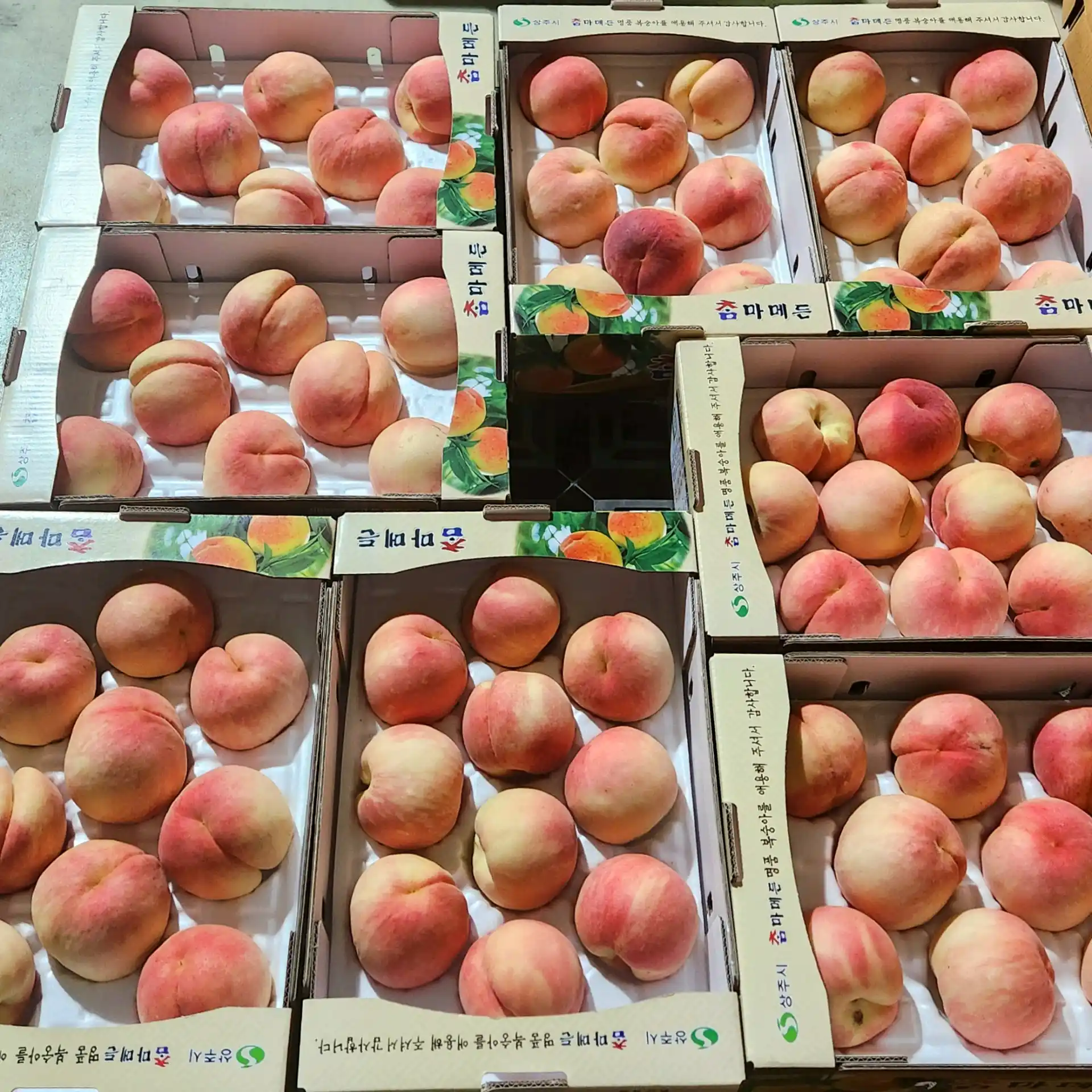직팜 | 마메든 농원(청년농부) - [7월 딱복🍑] 복숭아 4kg / 정품 13-16입