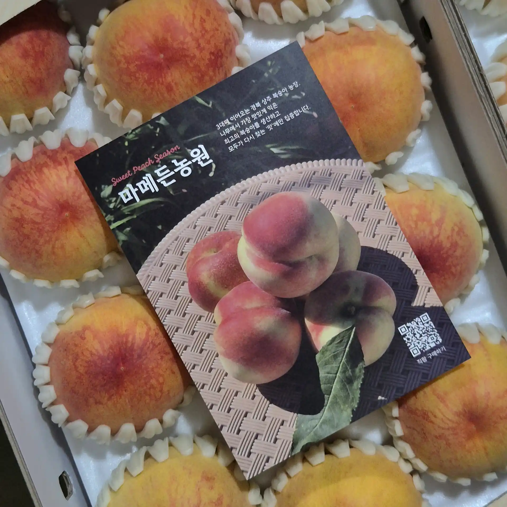 직팜 | 마메든 농원(청년농부) - [7월 물복🍑] 복숭아 4kg / 정품 13-16입