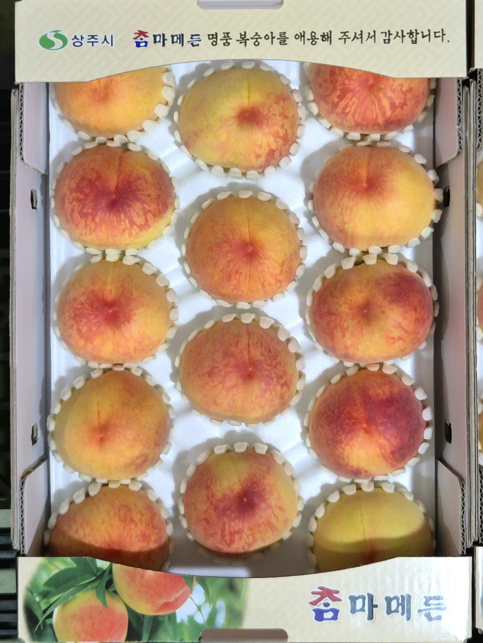 직팜 | 마메든 농원(청년농부) - [7월 물복🍑] 복숭아 4kg / 정품 13-16입