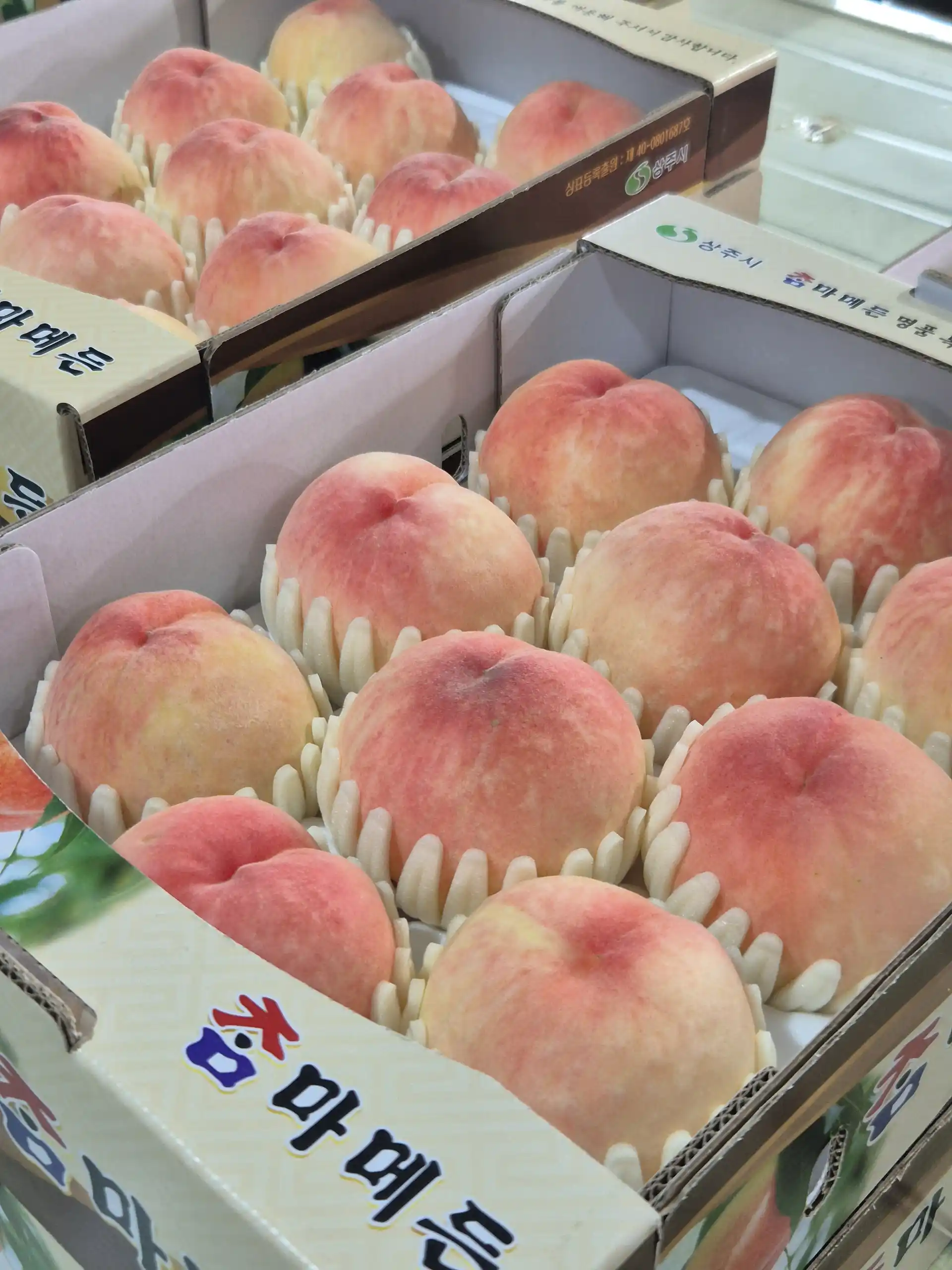 직팜 | 마메든 농원(청년농부) - [🍑딱복] 복숭아(영수) 4kg / 대과 13-16입