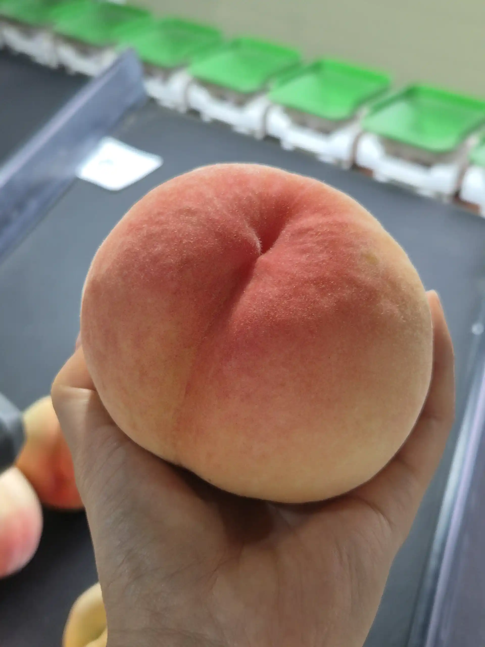 직팜 | 마메든 농원(청년농부) - [🍑딱복] 복숭아(영수) 4kg / 대과 13-16입